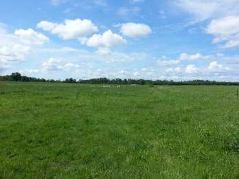 remembering-the-simple-joys-5