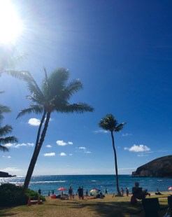 Hanauma Bay Nature Preserve