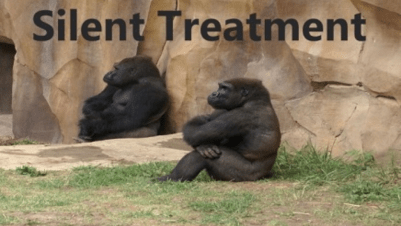 Silent Treatment photo