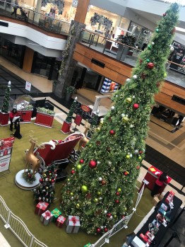 I Want a Sleigh Ride pic 1