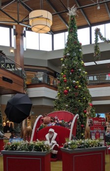 I Want a Sleigh Ride pic 7