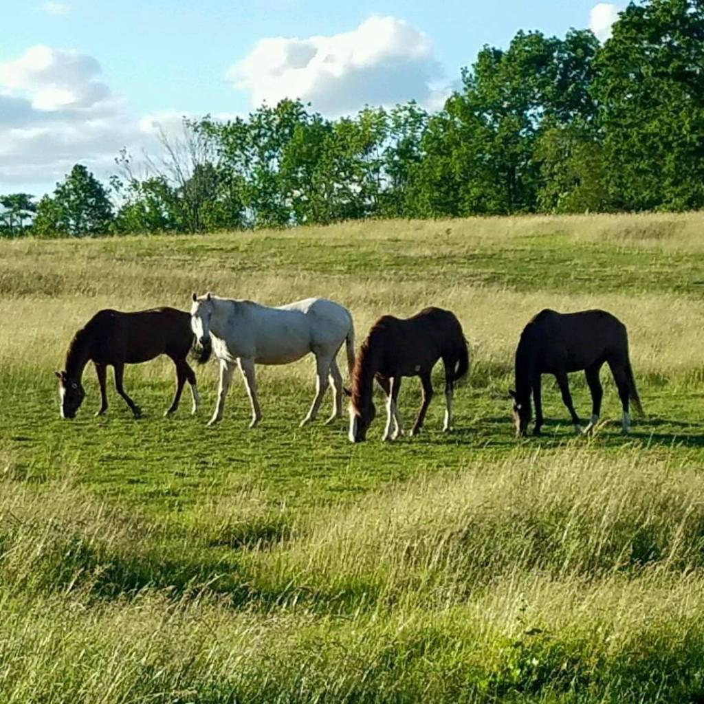 Blessed Assurance: A Story of Hope (part&nbsp;twelve)