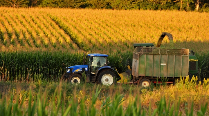 Blessed Assurance: A Story of Hope (part&nbsp;sixteen)