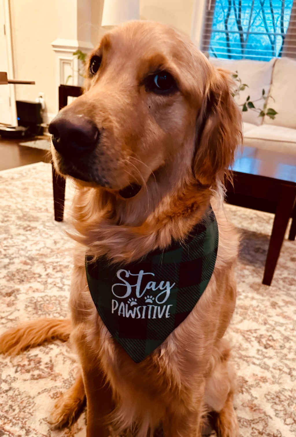 A Different Approach